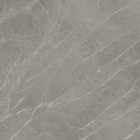 Marvel Grey Fleury 120x120 Lappato